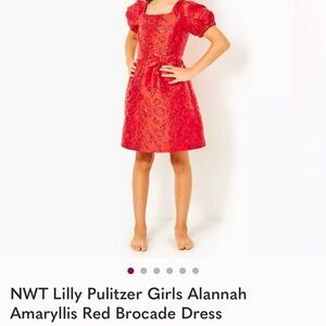 Lilly Pulitzer Toddler Size 2 Alannah Dress “Amaryllis Red Puff Floral Brocade”